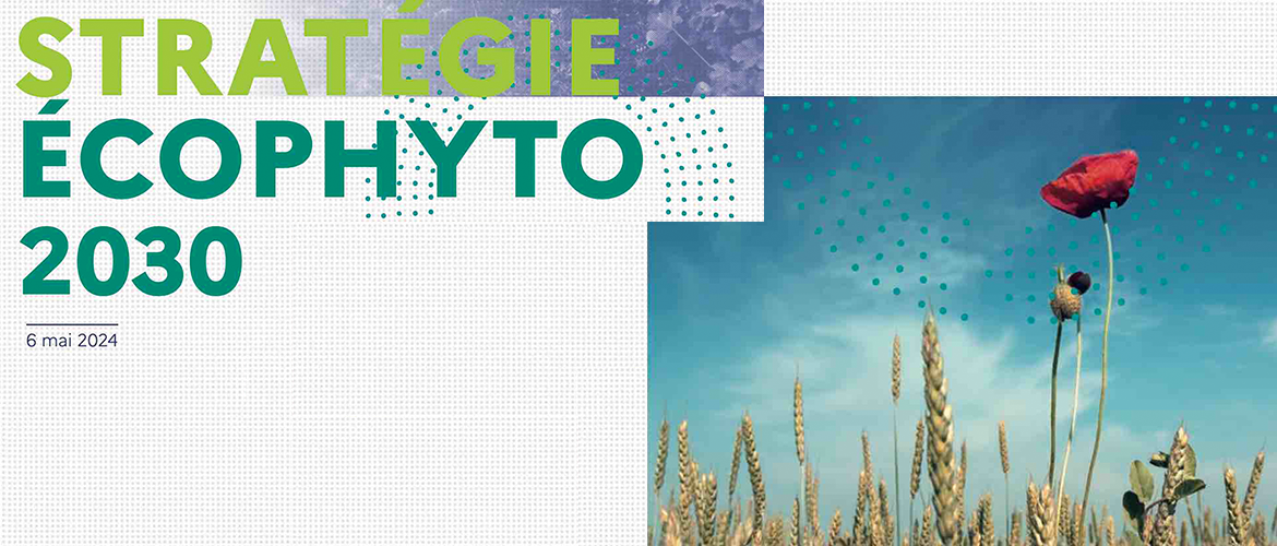 Stratégie Echophyto 2030 nouveau plan des ministres de l’Agriculture et de la Transition écologique. Photo DR