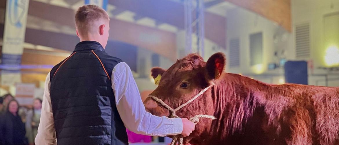 Pour la première fois, des animaux de la race étaient présentés à un événement de cette ampleur. ©Lou Godenir - Douceur Rurale