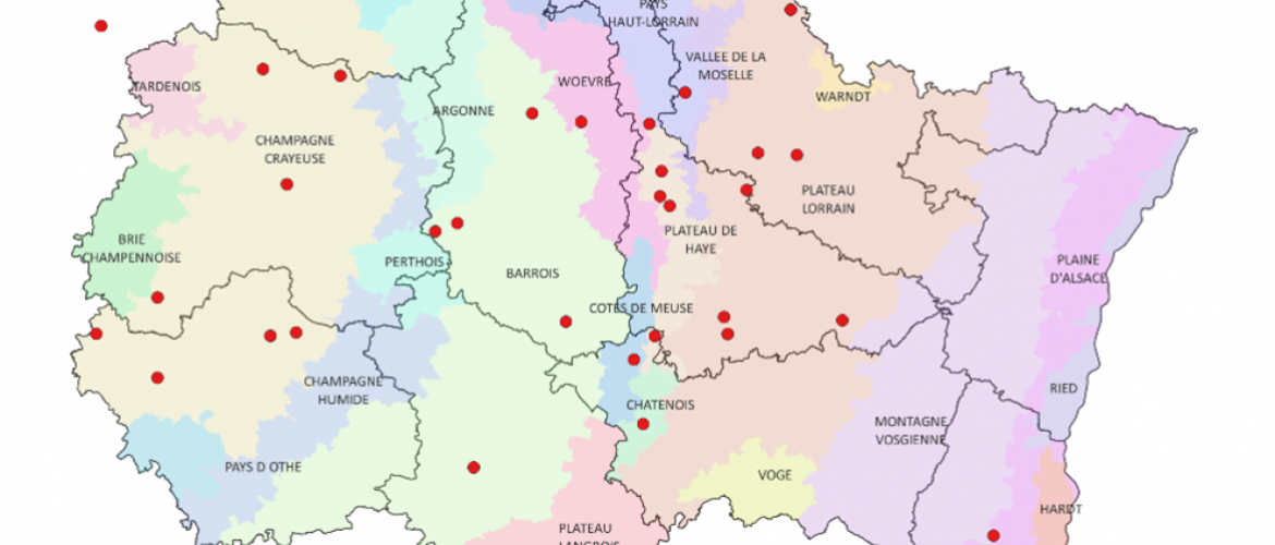 L’observatoire de la fertilisation azotée en Grand Est compte 36 parcelles de blé réparties sur la Champagne-Ardenne, la Lorraine et l’Alsace.