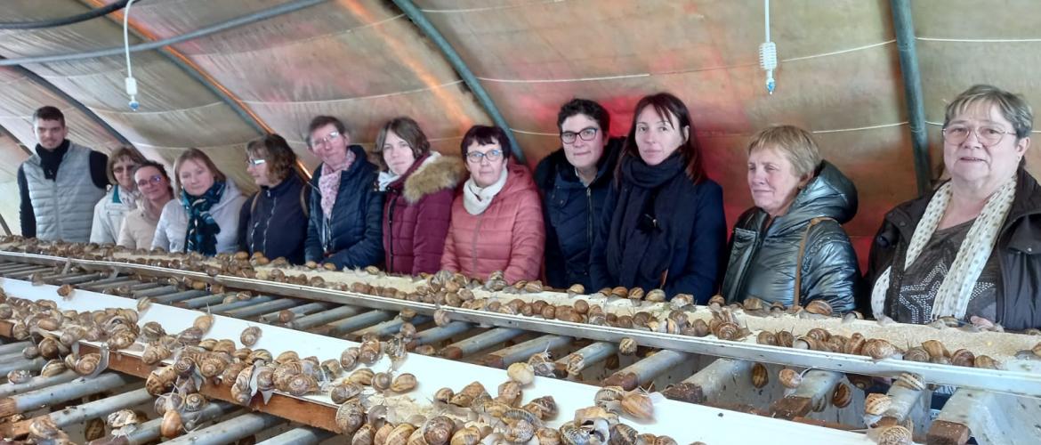 Les adhérentes de la section des agricultrices de la FDSEA 88 lors de la visite de l’exploitation d’Alexandre Maire ©Geneviève Tard.