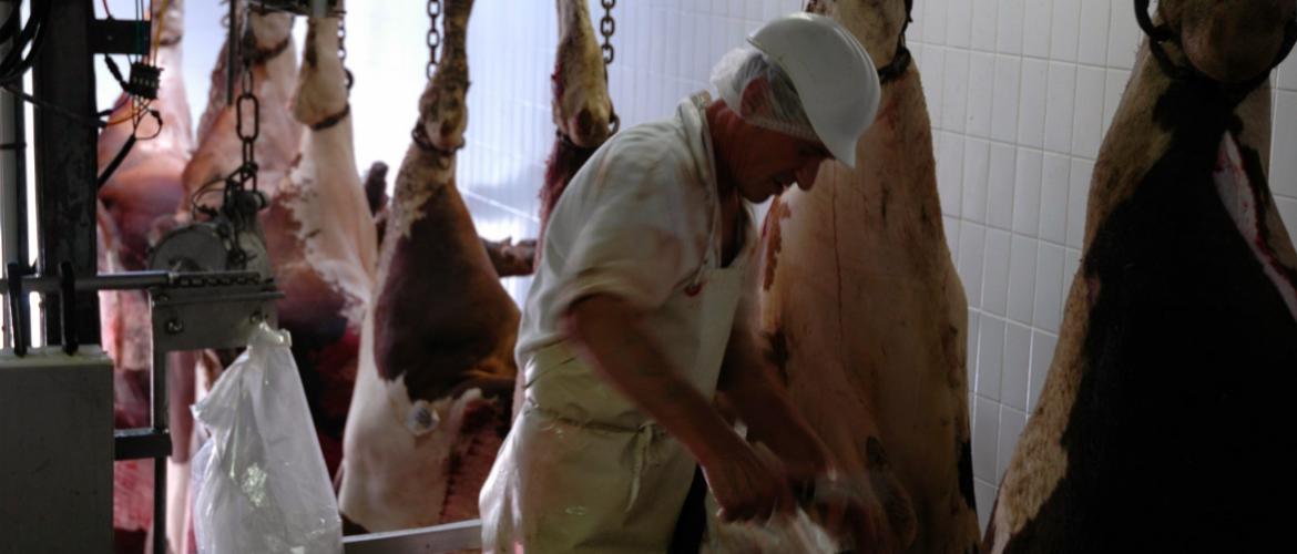 Des recrutements récents ont permis le redémarrage de l’abattoir de Luxeuil.