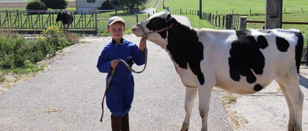 Anthonin Thomas participera au concours des jeunes meneurs avec sa génisse Sister (Gaec des Deux Cours).  