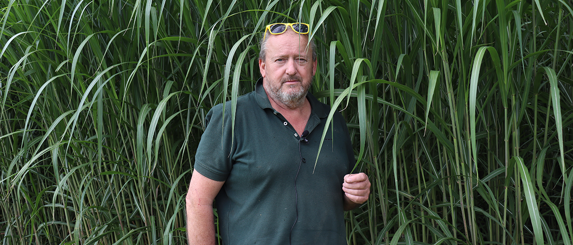 Dominique Sautré cultive du miscanthus depuis 5ans. ©Mélanie BECKER