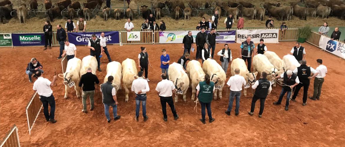 Foires agricoles sans présence d’animaux en concours, parfois annulation pure et simple des manifestations, de nombreux exemples d’échecs étaient à l’esprit de tous durant les semaines de préparation du salon Agrimax à Metz. © Photo Pierre Divoux