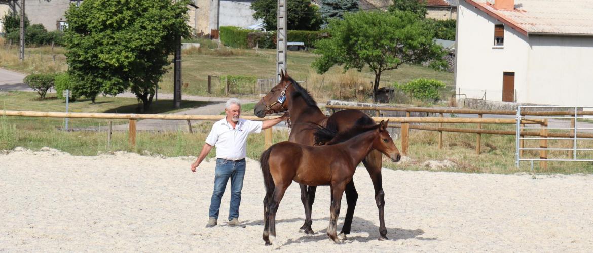 Yves Lacroix présentait Mirabelle du Melceney, par Pegase Van’t Ruytershof et Amine de Thurin (par Chin Chin), photo Marion Falibois.