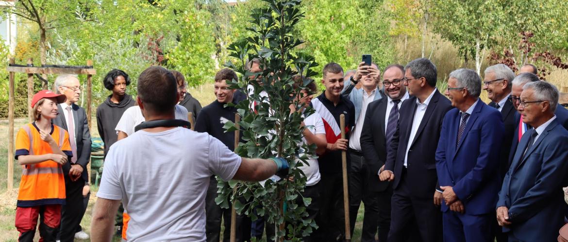 Suite aux discours officiels, un arbre a été planté en geste symbolique ©Marion FALIBOIS.