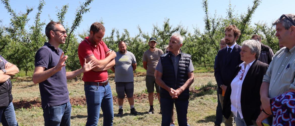 L’exploitation laitière à l’origine a développé une production fruitière pour se diversifier ©Amandine Marulier.