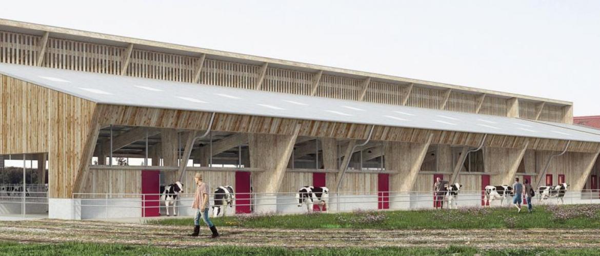 Le futur bâtiment comportera trois pôles : nurserie, laiterie et atelier transformation, génisses-vaches. Photo DR