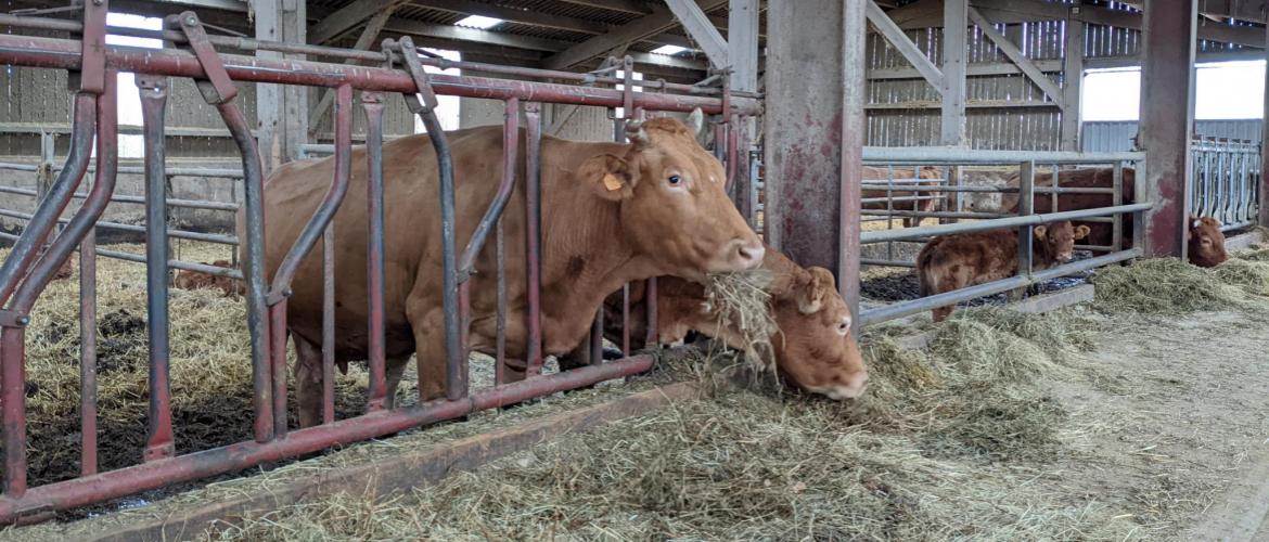 La rencontre du 16 décembre a donné lieu à des échanges entre les membres du groupe Ecobio Viande. Photo : A.Legendre