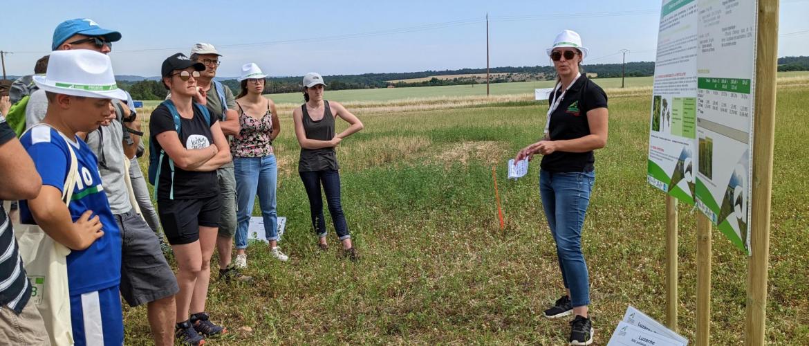 « Le choix variétal est primordial dans la lutte contre les nématodes et la verticiliose sur luzerne », a rappelé Mélany Biot. Photo : Agathe Legendre