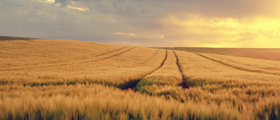 © Photo sous licence CC © Photo sous licence CC