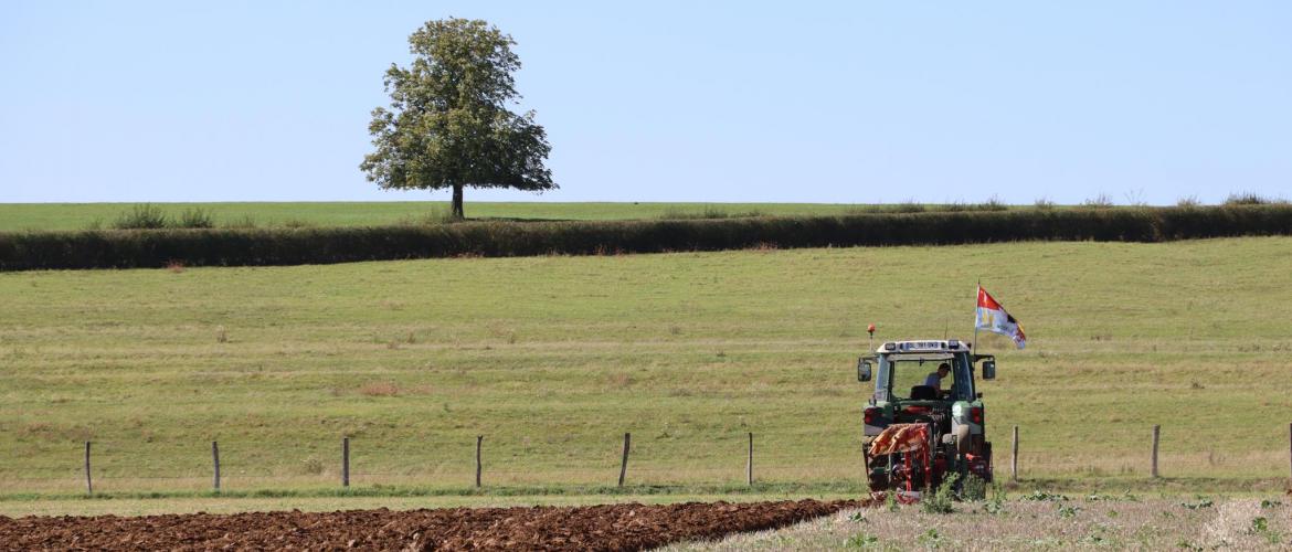 Victor Duchaux à l’œuvre, dans la catégorie à plat, dimanche 7 septembre. « Je n’ai jamais vu une parcelle d’une telle qualité », assure le président du jury, Patrice Guyomard. (Crédit photo : Hélène FLAMANT)
