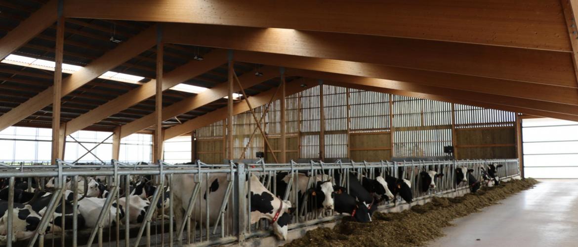 Les associés ont privilégié le bois pour la construction, « pour l’ambiance plus chaleureuse  dans le bâtiment » comparée aux bâtiments métalliques. Photo : H.Flamant.